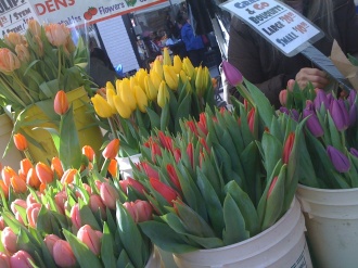 Ballard Farmers Market Tulips